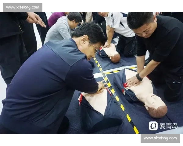协防战略下的多维安全体系构建与应急响应机制研究